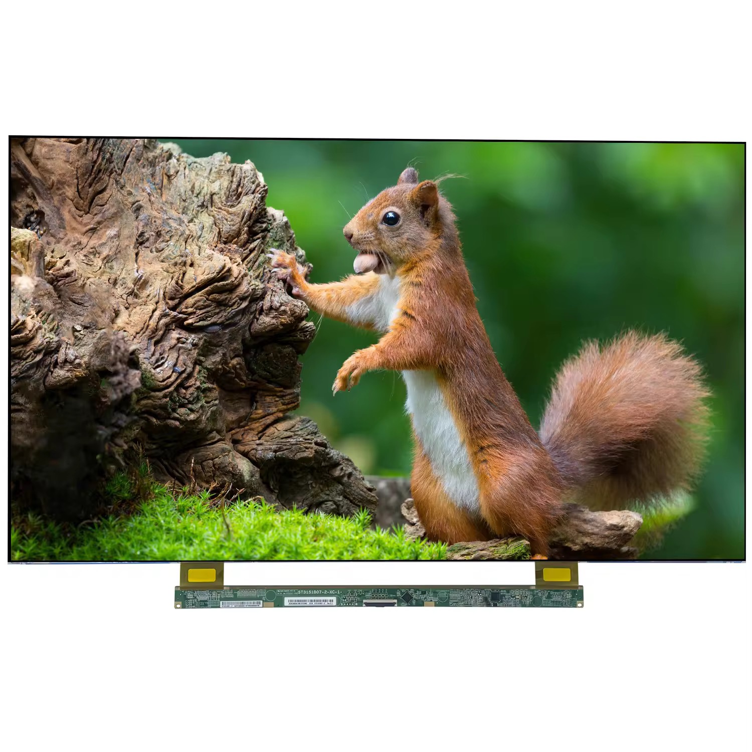 CSOT 32 inch open cell ST3151B07-2