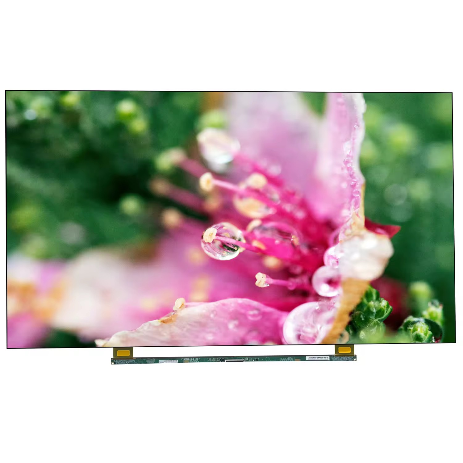 CSOT 43 inch open cell ST4251B05-2